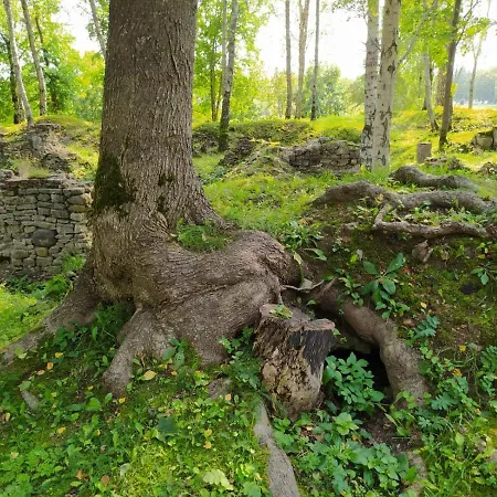 Rancho Randevu
